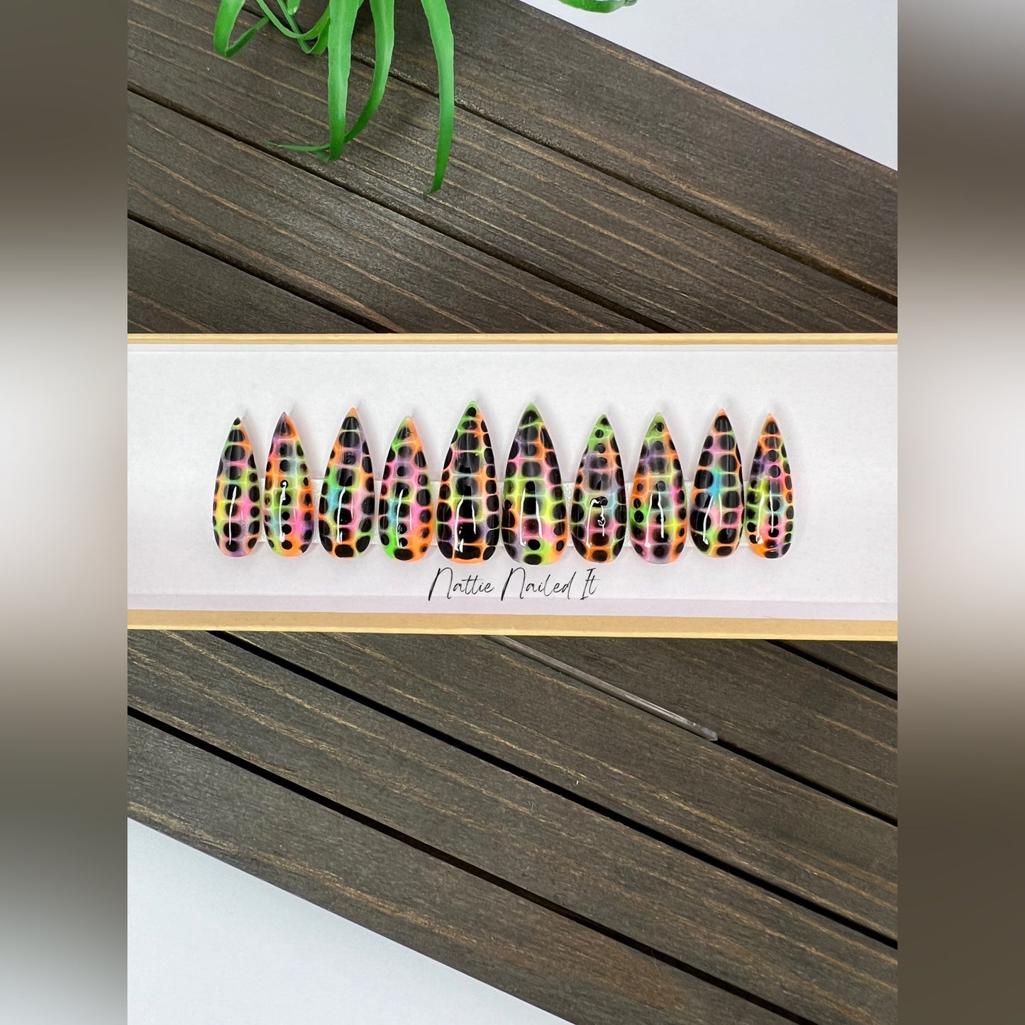 Spotty Reception Press On Nails