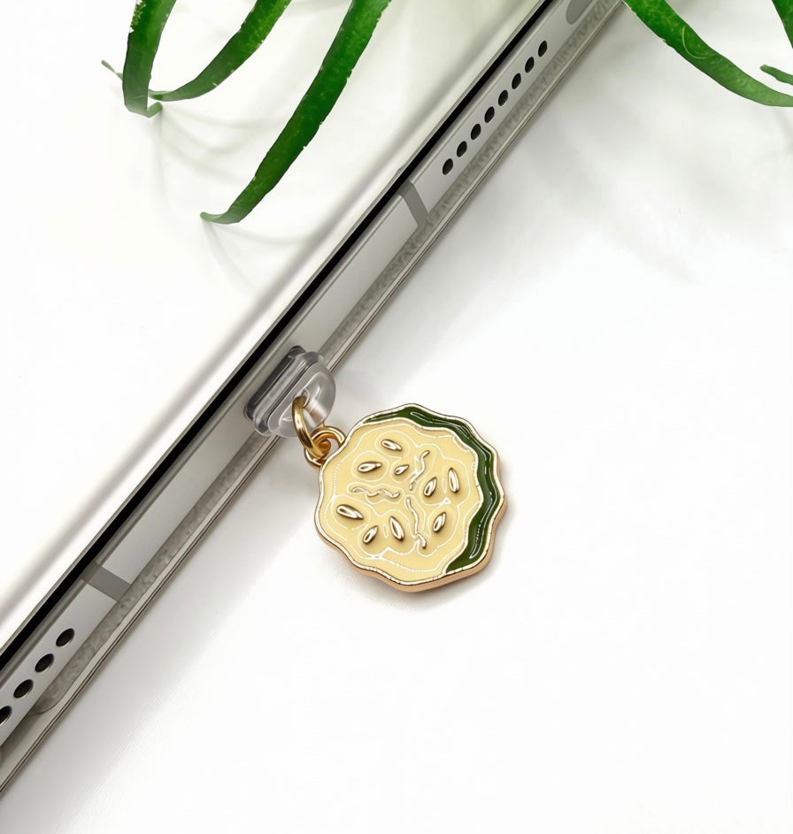 Dust Plug Charms